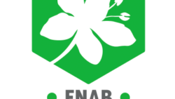 CP FNAB : Victoire d’étape pour la Bio sur le budget 2026 : le gouvernement propose le maintien du crédit d’impôt 