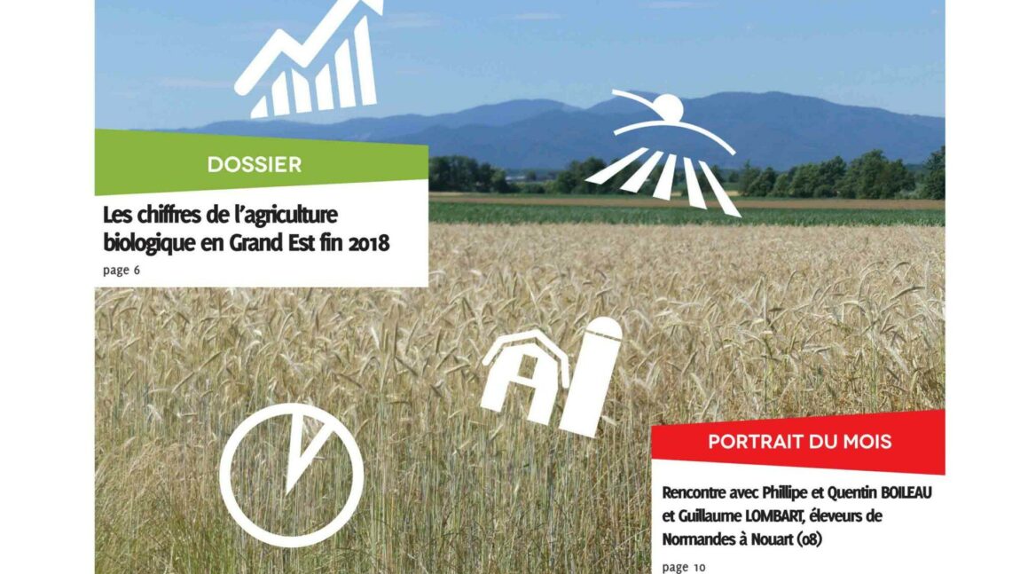 Lettres AB n°21 – sept. 2019