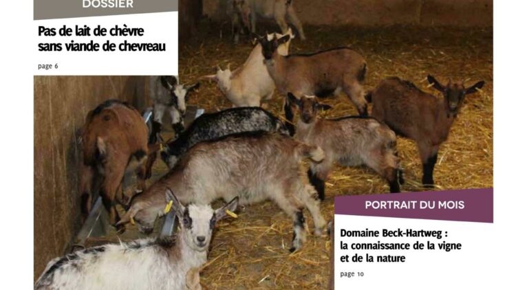 Lettres AB n°24 – déc. 2019