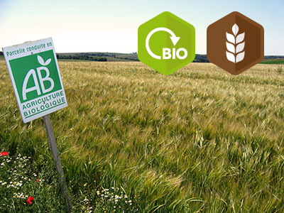 Formation « Découverte de l’agriculture biologique en grandes cultures » – Annulée