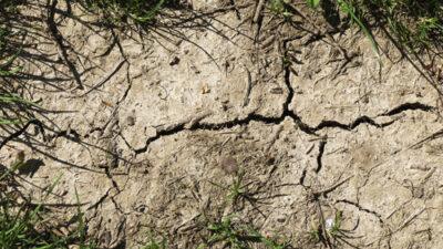 CP : Canicule et sécheresse : les agriculteurs bio sous pression mais porteurs de solutions pour l&rsquo;avenir