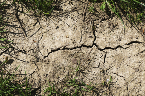 Faire face à des sécheresses récurrentes :  quelles pistes d’actions pour trouver des solutions