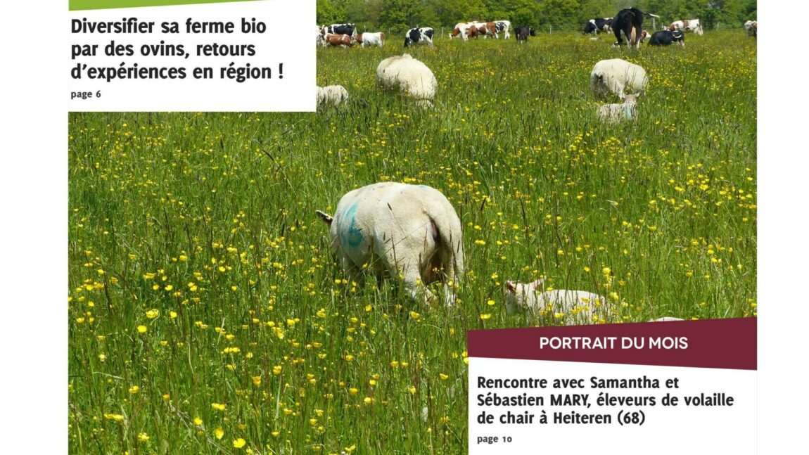 Lettres AB n°37 – février 2021