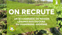 Recrutement : Chargé(e) de mission Légumes Biologiques