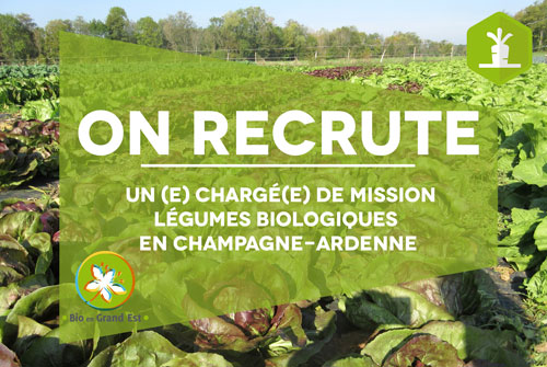 image-recrutement_Chargé-de-mission-Légumes-Biologiques21