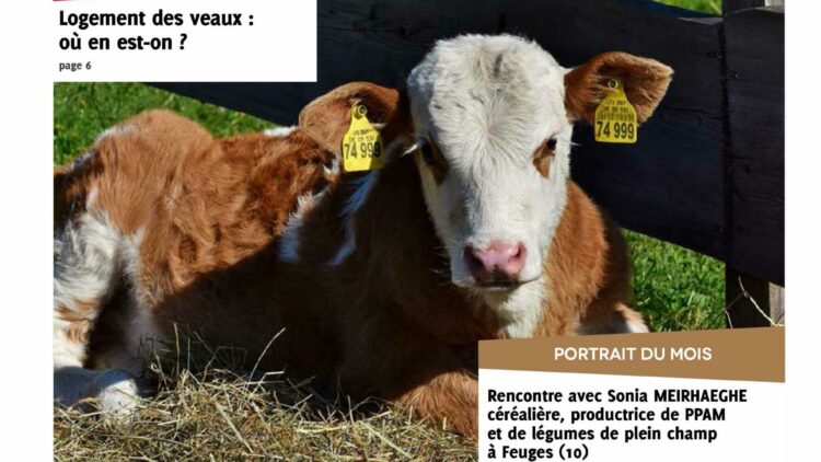 Lettres AB n°39 – Avr. 2021