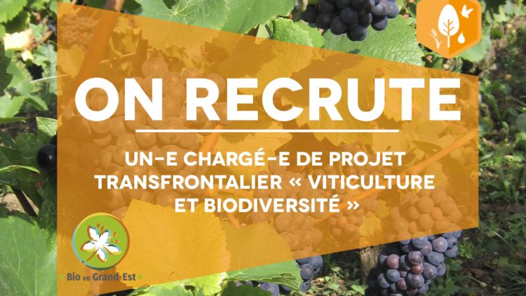 Recrutement : Chargé(e) de projet transfrontalier « viticulture et biodiversité »