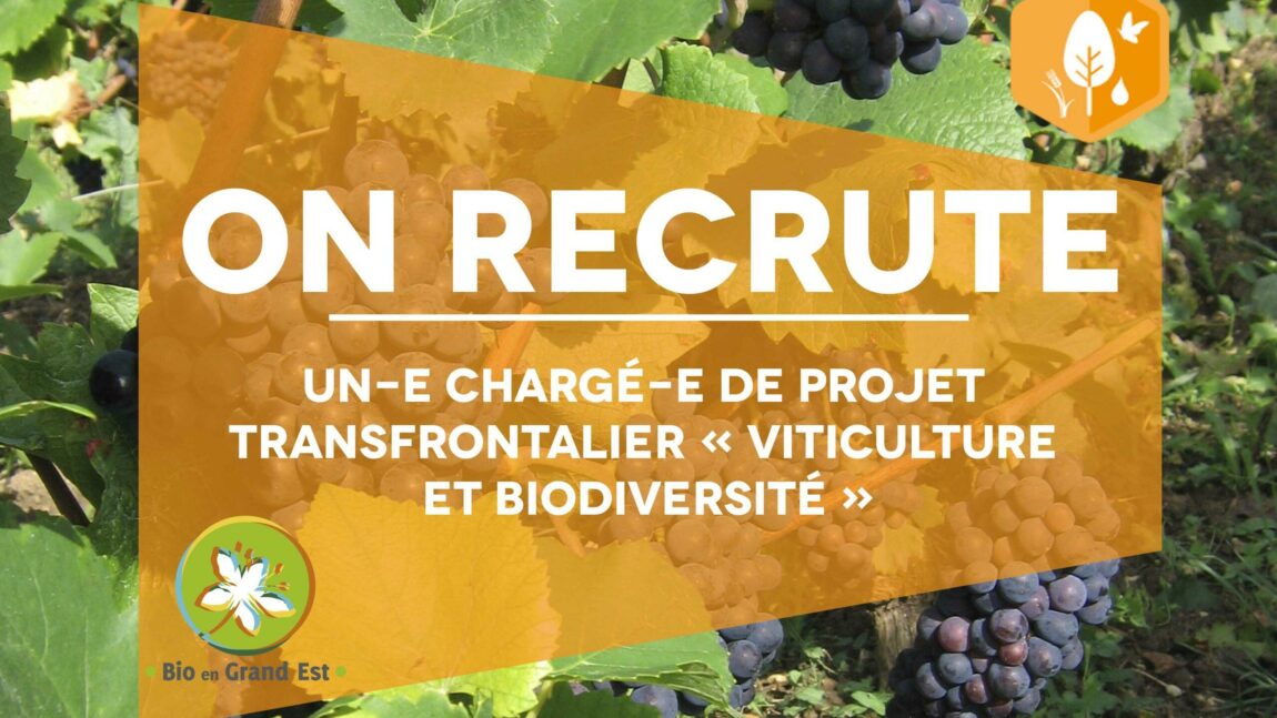 Recrutement : Chargé(e) de projet transfrontalier « viticulture et biodiversité »