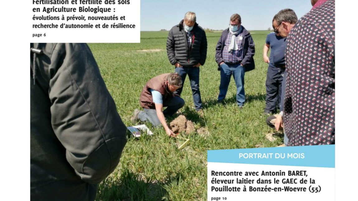 Lettres AB n°41 – Juin 2021