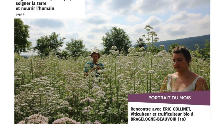 Lettres AB n°42 – Juil.-Août 2021