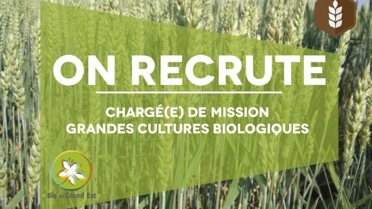 Recrutement : chargé-e de mission grandes cultures biologiques