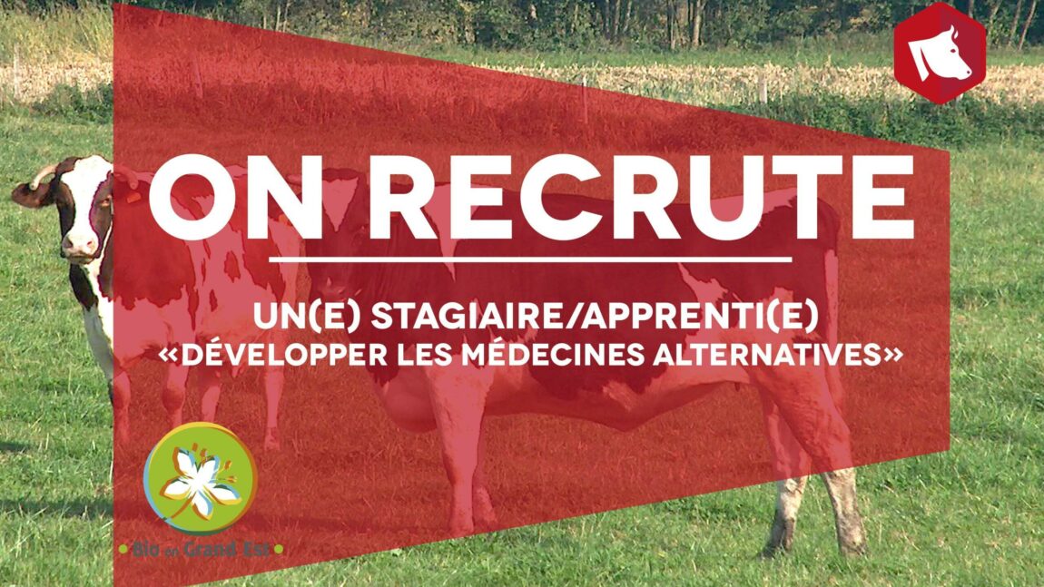 Offre de stage ou d’apprentissage «Développer les médecines alternatives dans les élevages bio du Grand Est»
