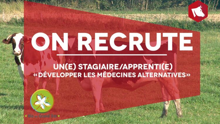 Offre de stage ou d’apprentissage «Développer les médecines alternatives dans les élevages bio du Grand Est»