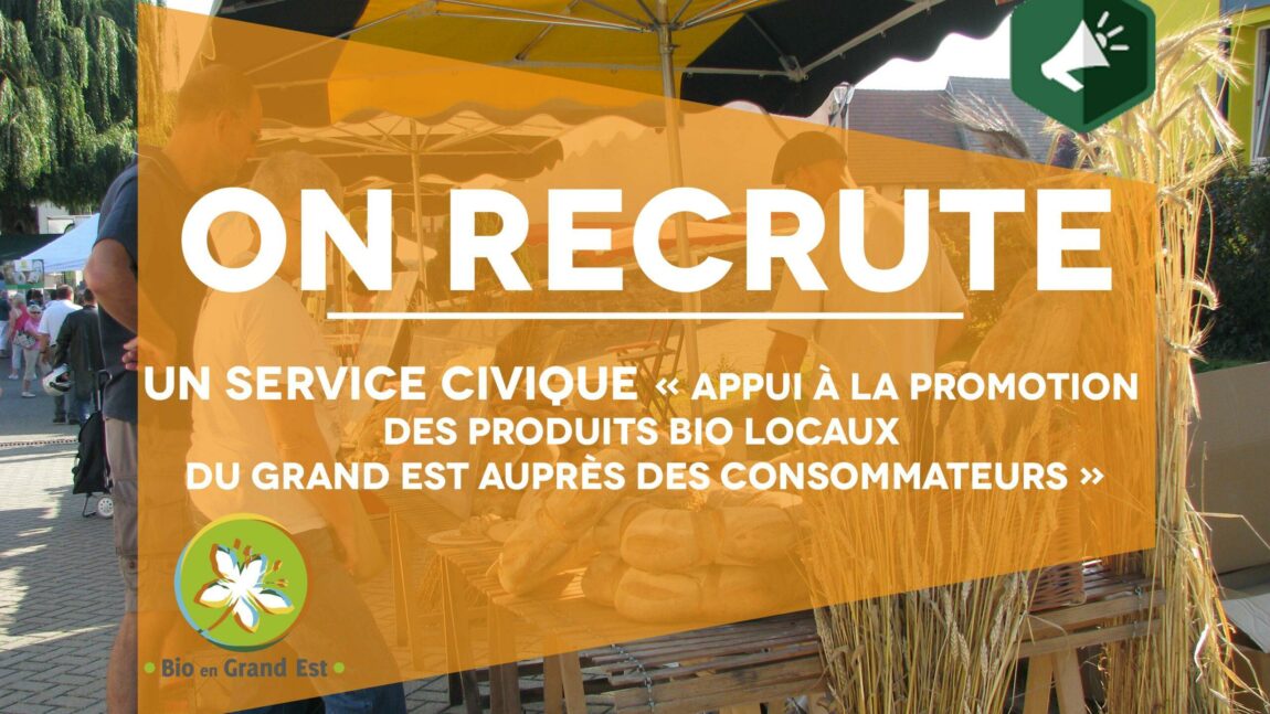 Recrutement : service civique « Promotion des produits bio du Grand Est »
