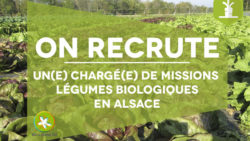 Recrutement : chargé(e) de mission Légumes Bio