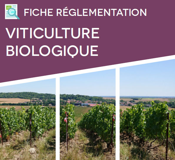 Règlement Bio 2022 : les spécificités du règlement pour la filière Champagne Bio