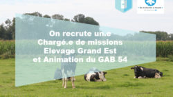 Recrutement : Chargé(e) de mission « Élevage Grand Est et Animation du GAB 54  »