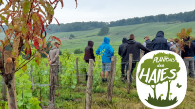 La biodiversité dans les vignes, une mission collective !