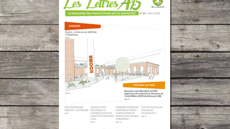 Lettres AB n°56 – Nov. 2022