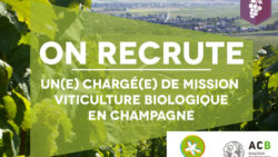 Recrutement : Chargé(e) de mission viticulture biologique