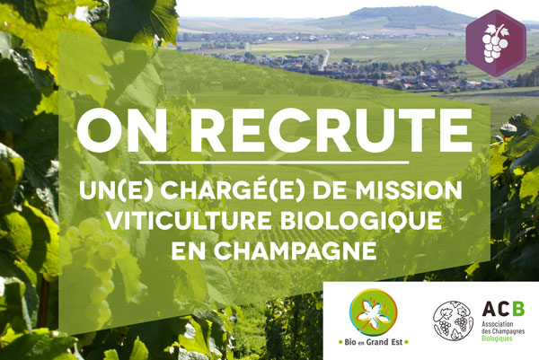 Recrutement : Chargé(e) de mission viticulture biologique