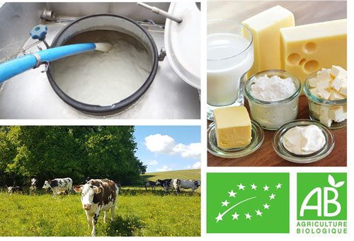 Réunion d’Échanges : Transformation laitière bio en collectif – Quelles opportunités dans les Ardennes ?