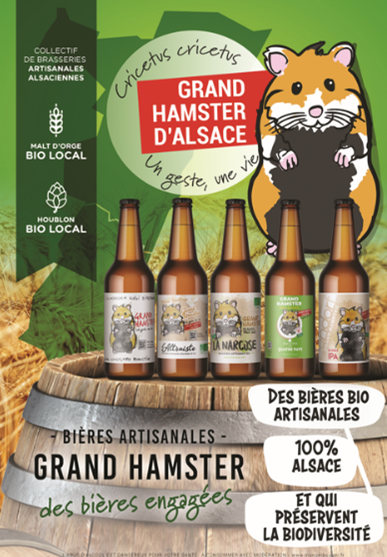 Bières bio « Grand Hamster » par un collectif de brasseries artisanales pour la biodiversité des plaines d’Alsace