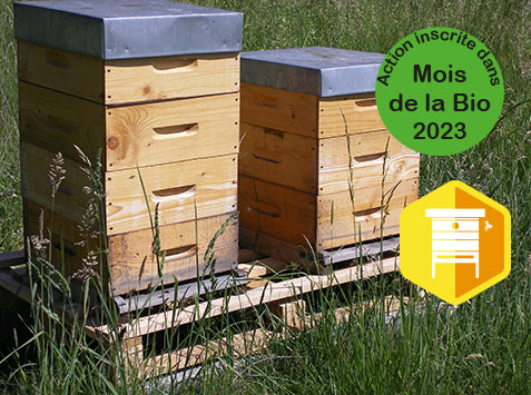 Mois de la Bio Quels intérêts d’une collaboration entre apiculteurs et agriculteurs bio ?