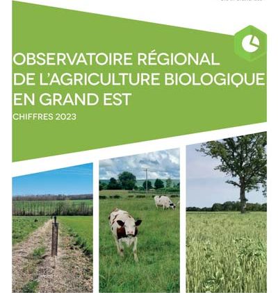 Observatoire de la bio en Grand Est 2024 – chiffres 2023