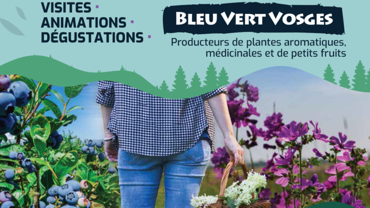 14 fermes ouvertes en plantes et petits fruits sur le Massif des Vosges !