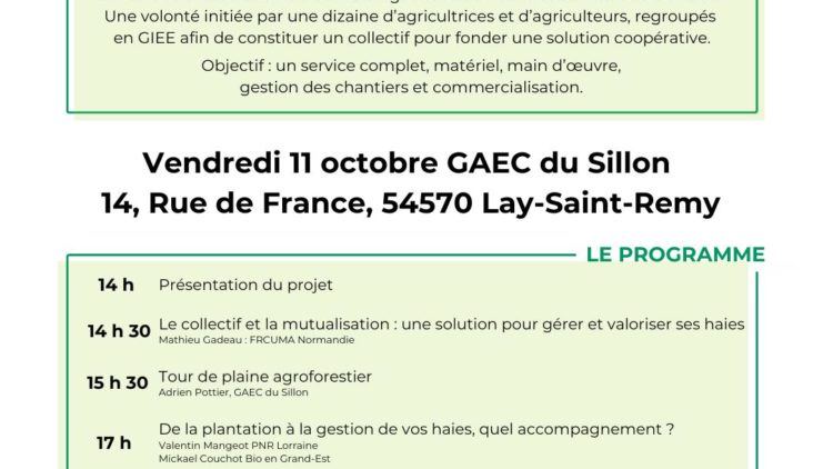 Structuration d’une filière de gestion et valorisation des haies