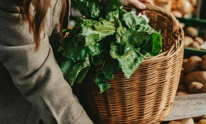 Mois de la Bio – Webinaire : Construire et optimiser sa stratégie commerciale en circuits courts en légumes bio