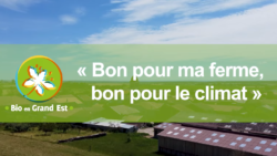 Nouvelle vidéo : Bon pour ma ferme, bon pour le climat !