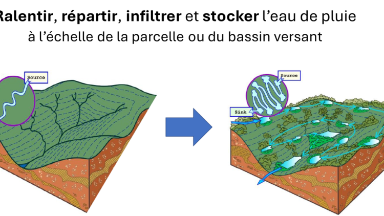 Formation : L’hydrologie régénérative pour gérer les flux d’eau sur sa ferme et mieux l’adapter au changement climatique