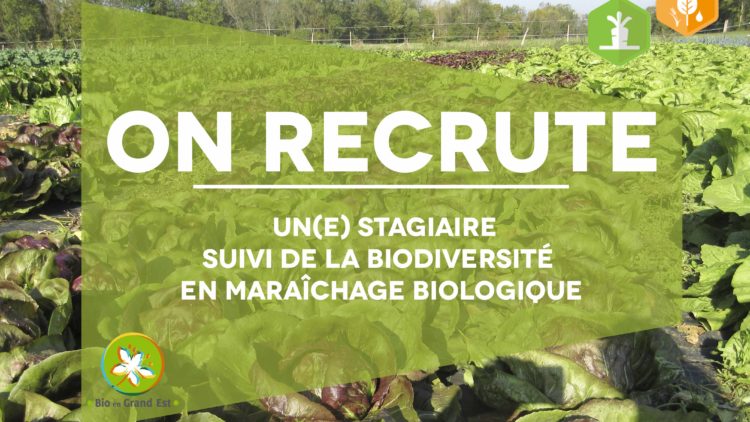 Offre de stage : Suivi de la biodiversité en maraîchage biologique