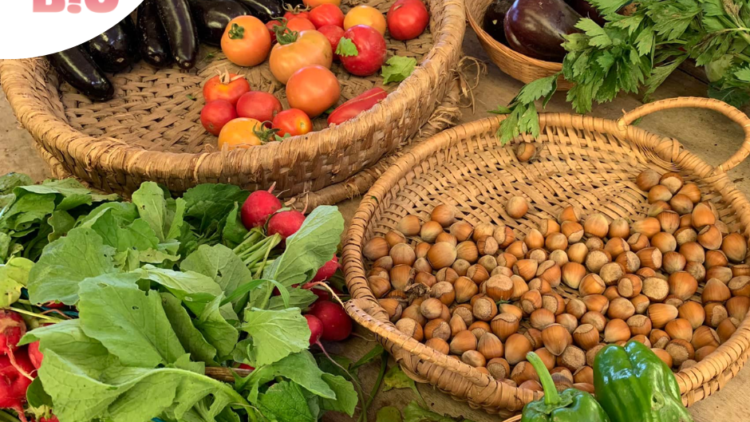 [Printemps Bio] Marché Bio du Boulingrin