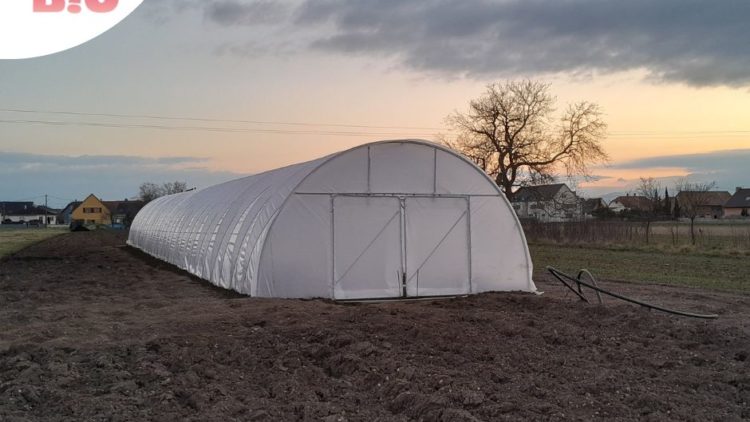 [Printemps Bio] Ferme ouverte du potager de JB