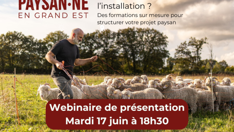 Webinaire : S’installer Paysan.ne en Grand Est