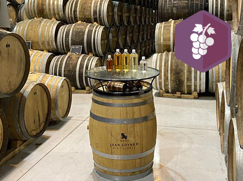 Vigne Bio Ouverte : A la découverte d’une distillerie engagée dans une démarche bio