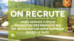Recrutement : service civique « Promotion des produits bio en Moselle Sud en direction de la restauration hors domicile »