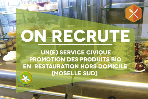 Recrutement : service civique « Promotion des produits bio en Moselle Sud en direction de la restauration hors domicile »