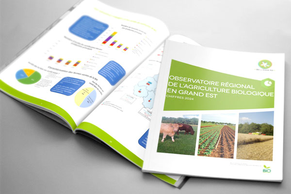 Découvrez les chiffres 2024 dans l’observatoire de la bio en Grand Est 2025