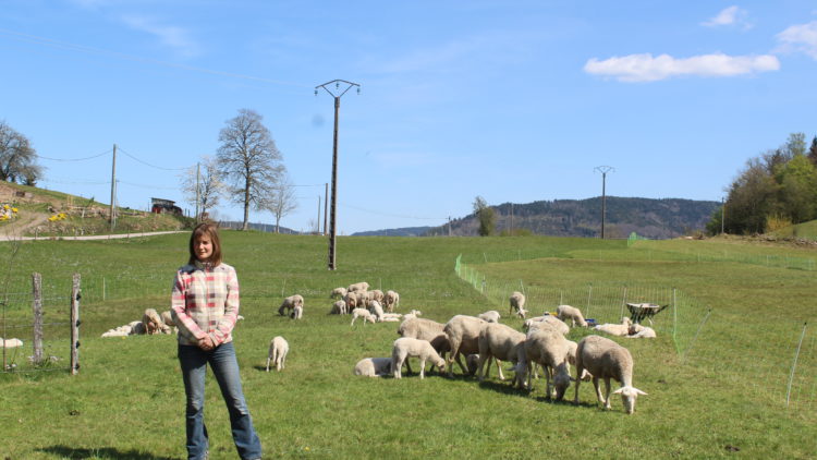 Femmes et Agricultures