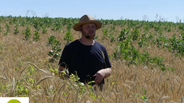 Mois de la Bio – Bon pour ma ferme et bon pour le climat !