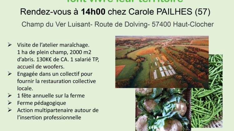 Mois de la Bio : « Vos maraîchers bio et lorrains  font vivre leur territoire »
