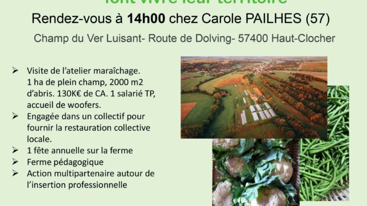 Mois de la Bio : « Vos maraîchers bio et lorrains  font vivre leur territoire »