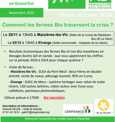 Mois de la Bio : Comment les fermes Bio traversent la crise ?