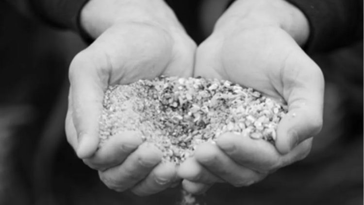 Mois de la Bio : Visite : Fabrication locale d’aliment pour le bétail : exemple d’un partenariat polyculteurs – éleveurs