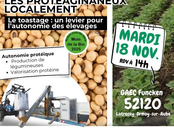 Mois de la Bio : Démonstration de toastage et ateliers techniques