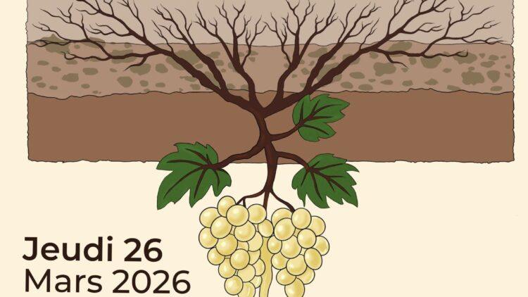 Événement inédit en Champagne : La Grande Dégustation des Vins Clairs Biologiques ! 🍇